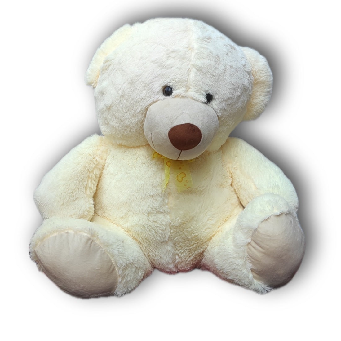 teddy bear cream colour