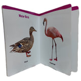 Navneet My First Board Book Birds, English, Hard Board Book, Big Pictures