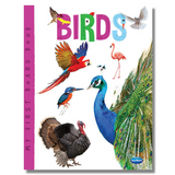 Navneet My First Board Book Birds, English, Hard Board Book, Big Pictures